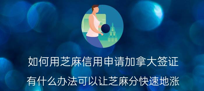 如何用芝麻信用申请加拿大签证 有什么办法可以让芝麻分快速地涨？涨了有什么好处吗？